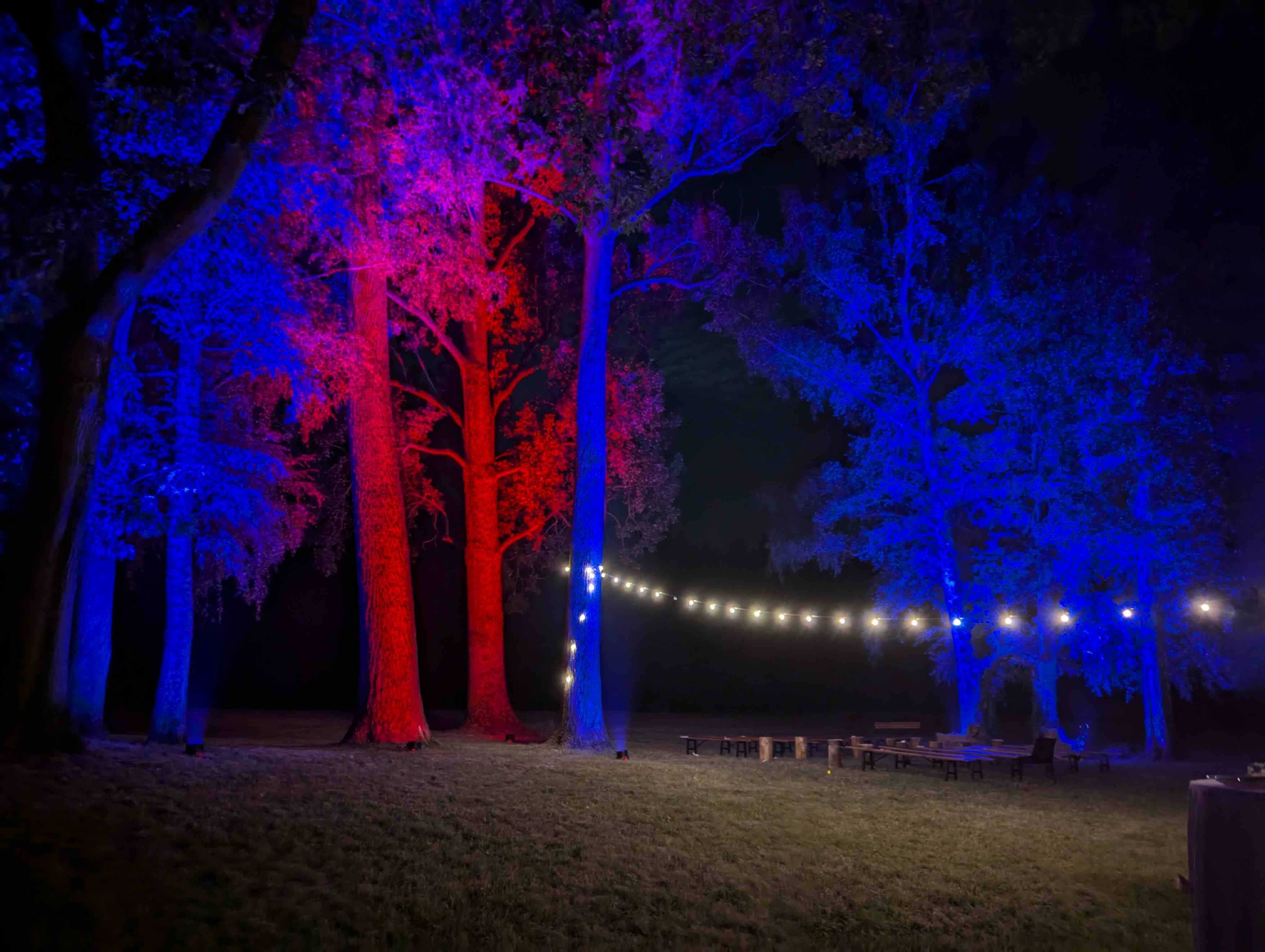Bäume und Natur mit roter und blauer Ambientebeleuchtung wirkungsvoll inszeniert